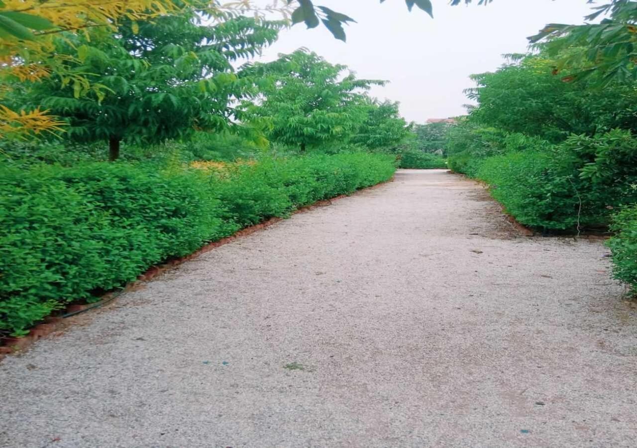 Lohana Village Resort Pushkar Ngoại thất bức ảnh
