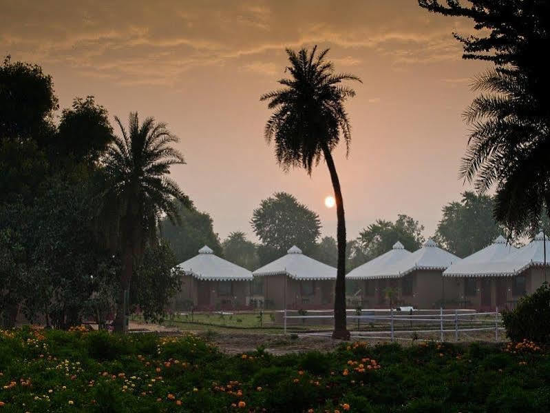 Lohana Village Resort Pushkar Ngoại thất bức ảnh